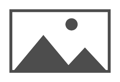 Bold Crew v3.1